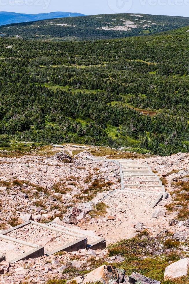 uitzicht vanaf de mont jacques-cartier foto