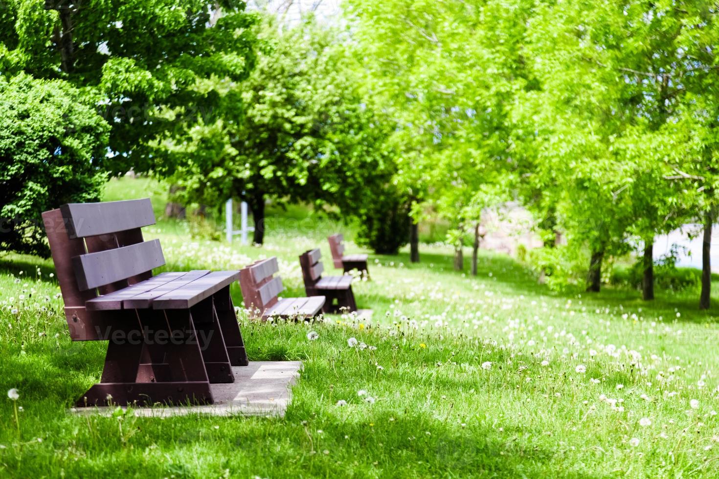 rij lege banken in de natuur foto