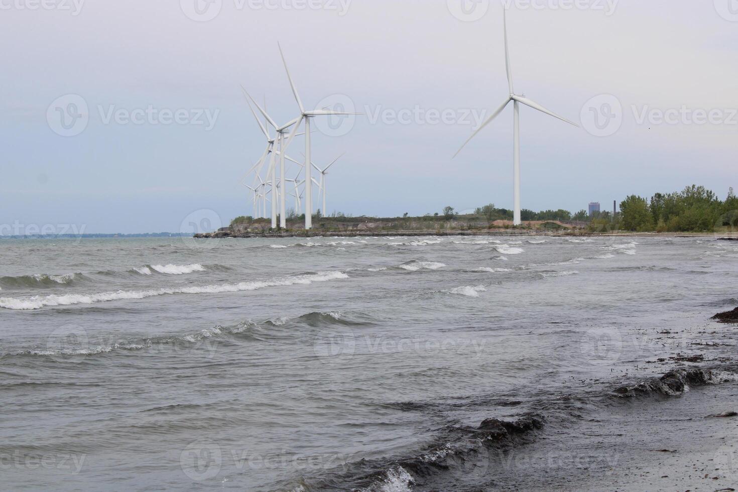 bosgras strand staat park Aan meer erie in buffel nieuw york foto