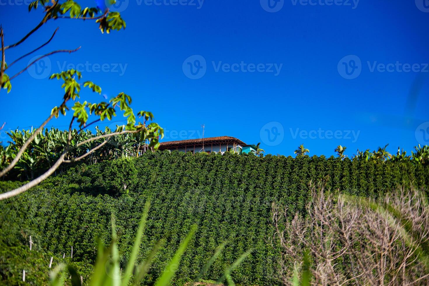 de mooi koffie cultureel landschap van Colombia verklaard net zo een wereld erfgoed plaats in 2011 foto