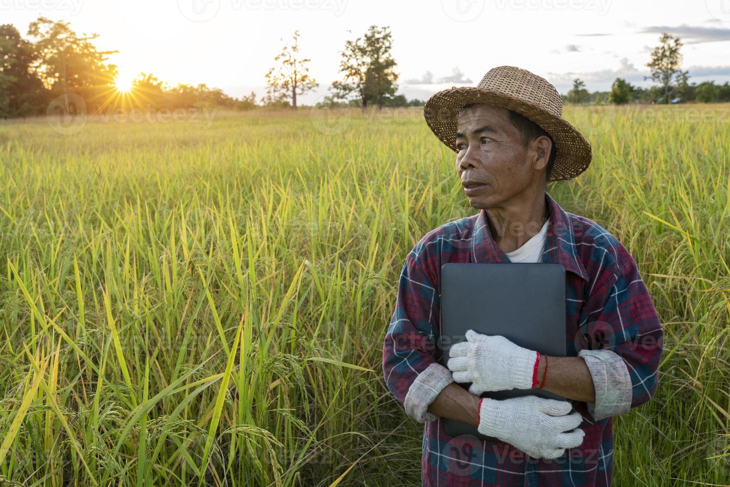 portret senior thaise boer draagt een laptop om in de rijstvelden te werken. foto