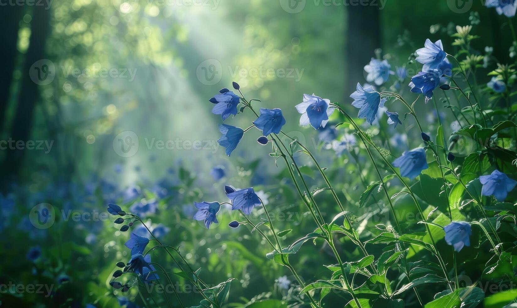 klokjesbloemen in een bos- opruimen, detailopname visie, selectief focus foto