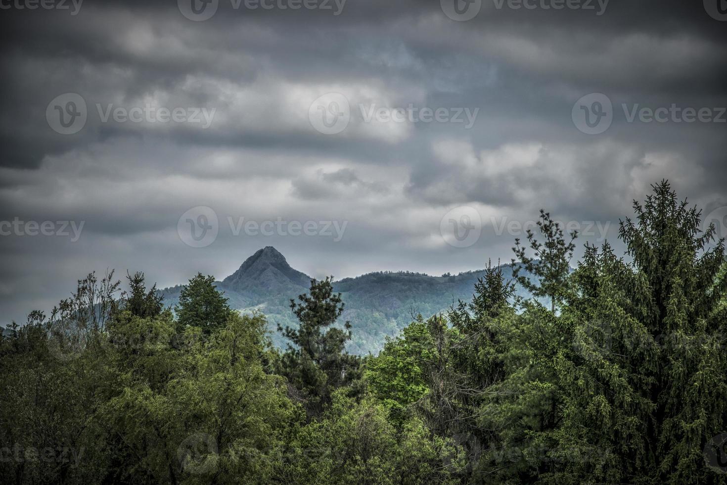 bewolkte dag op de berg van rudnik in servië foto