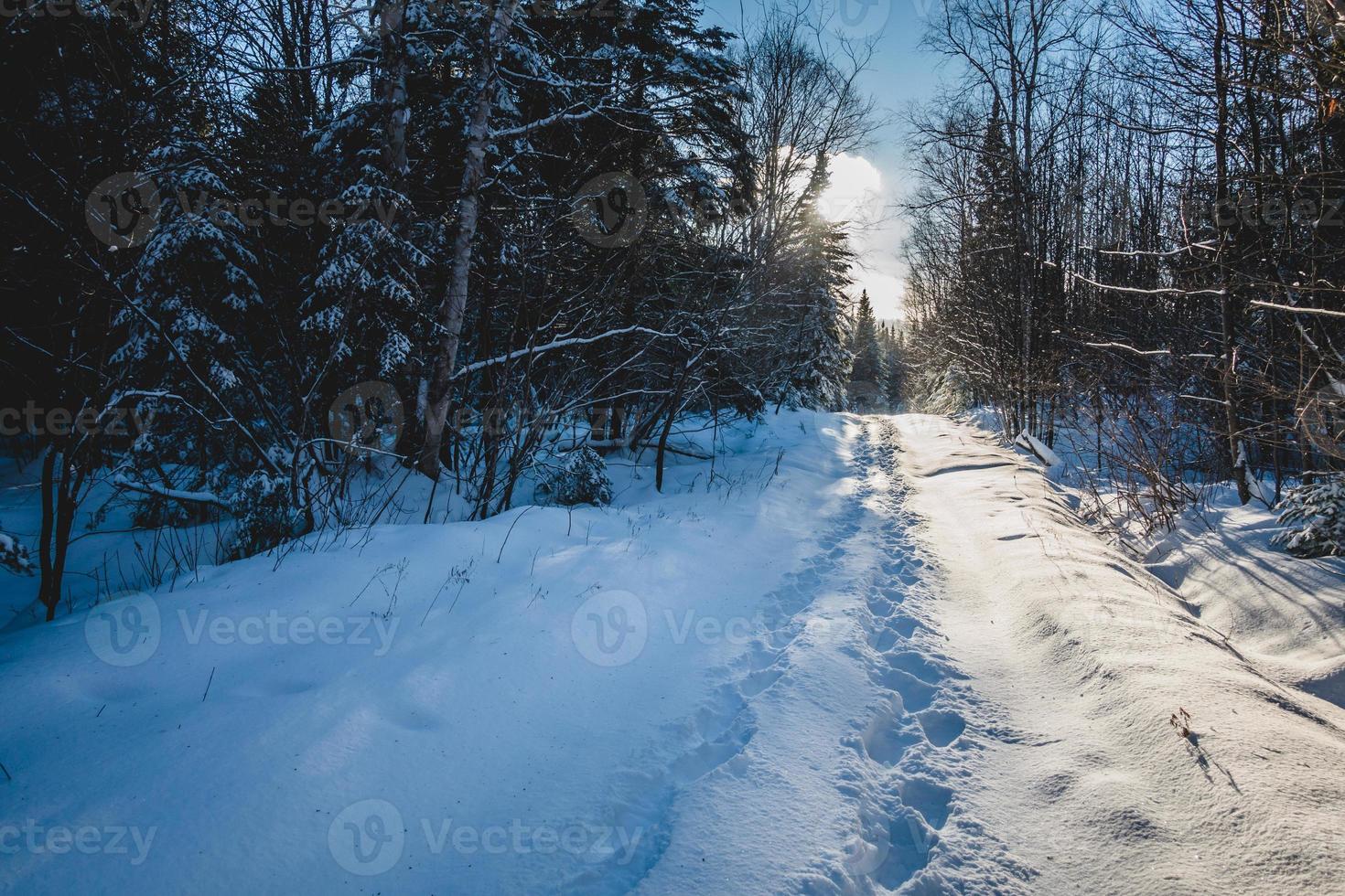 voetstap van paar wandelen in het wilde bos. foto