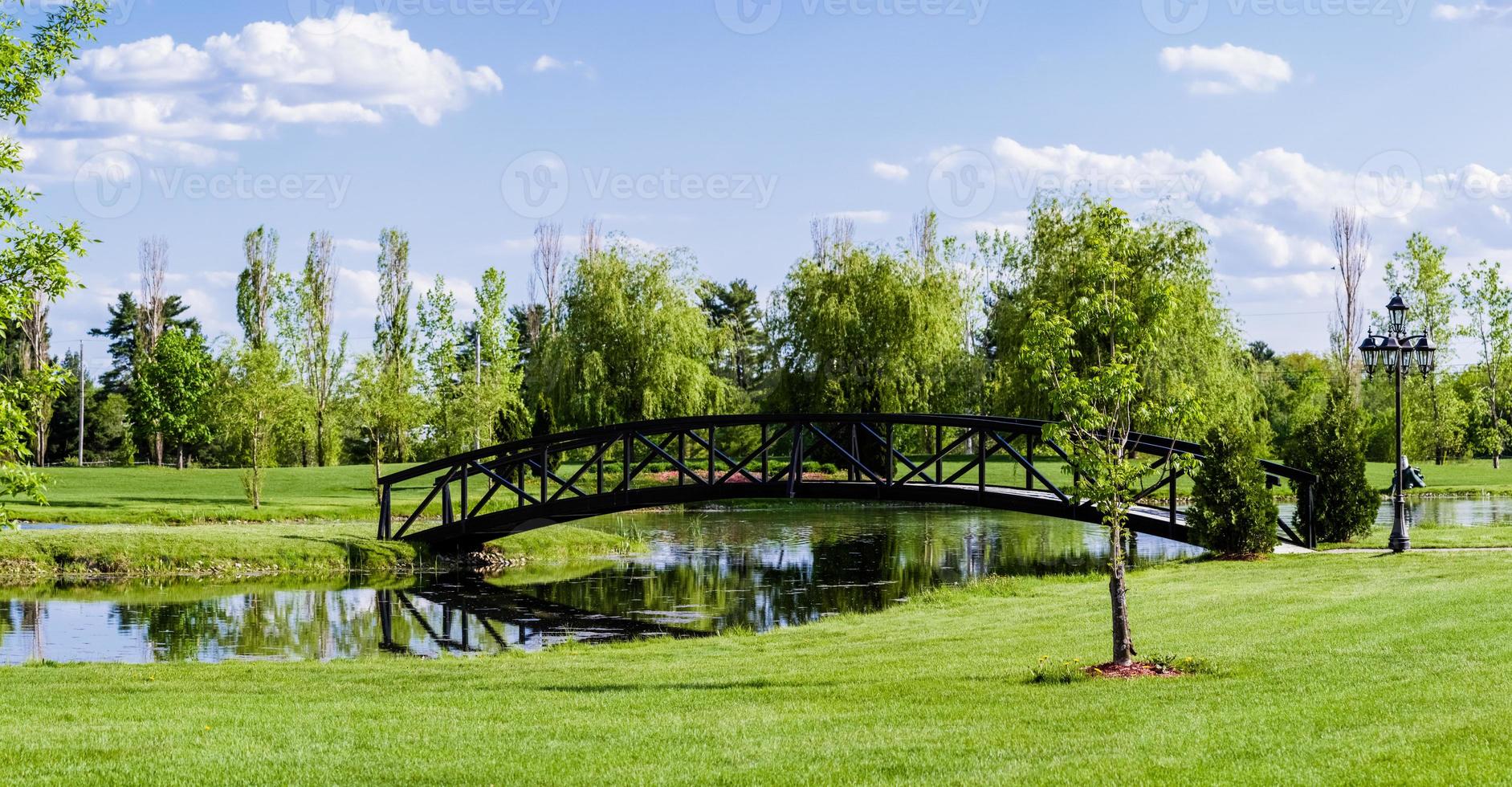 bruggetje over een vijver foto