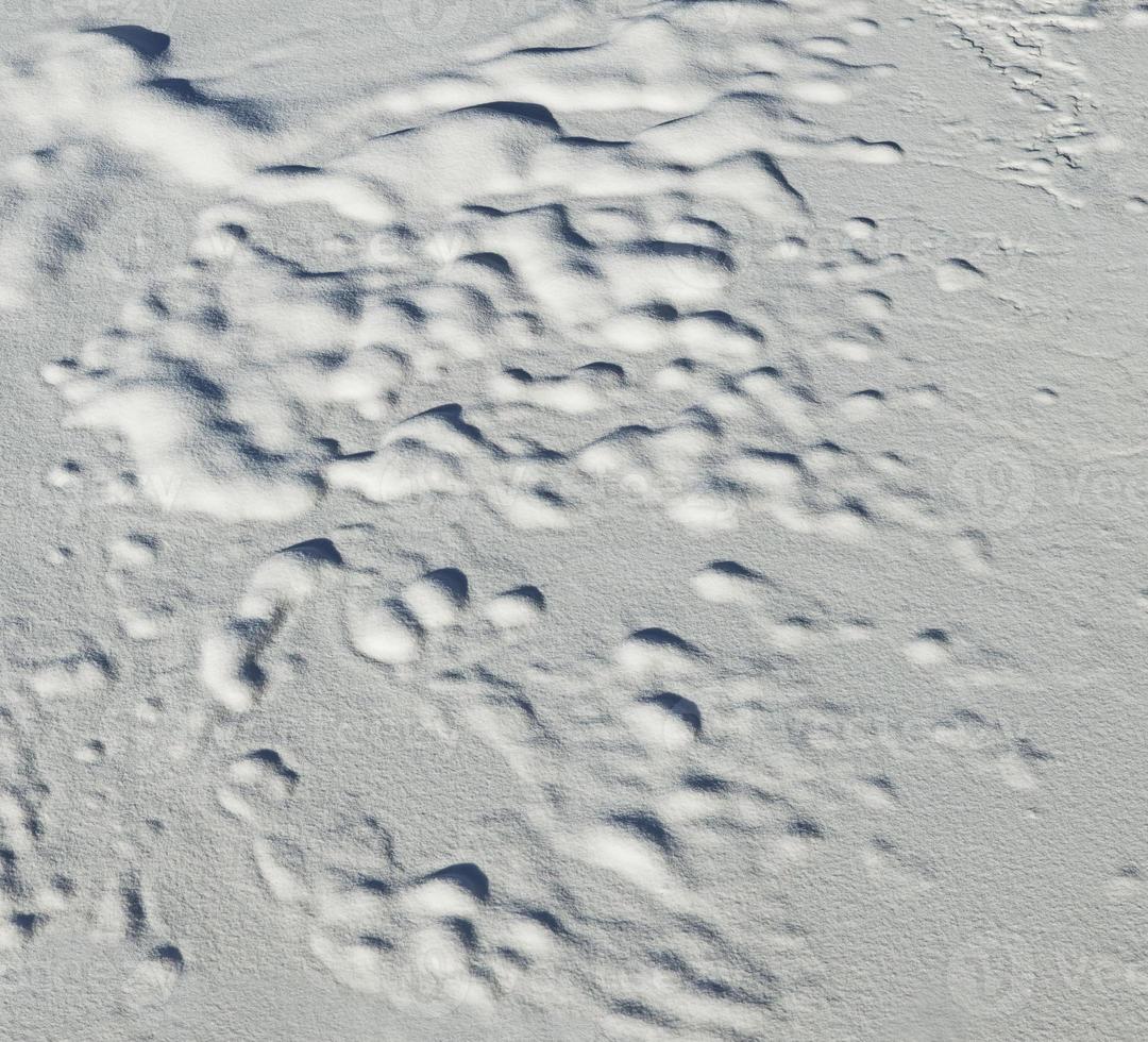 sneeuw textuur achtergrond foto