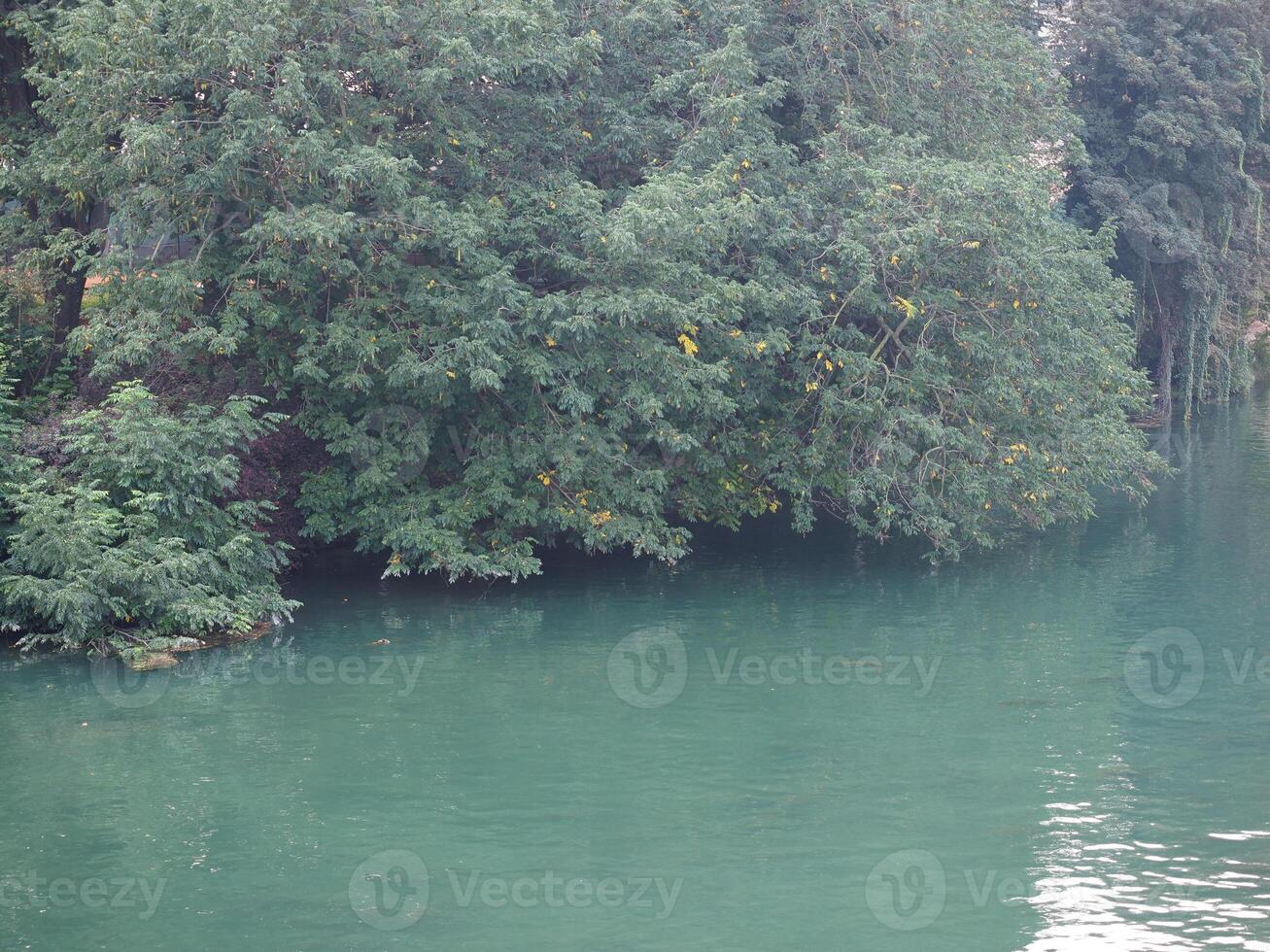 groen rivier- water en bomen achtergrond foto