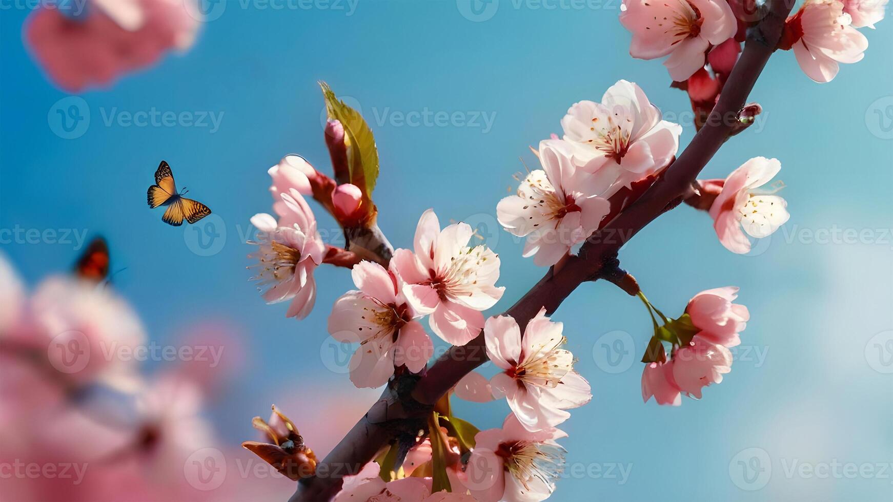 takken van bloeiende kers Aan een achtergrond van blauw lucht en vlinders. roze sakura bloemen in lente. . foto