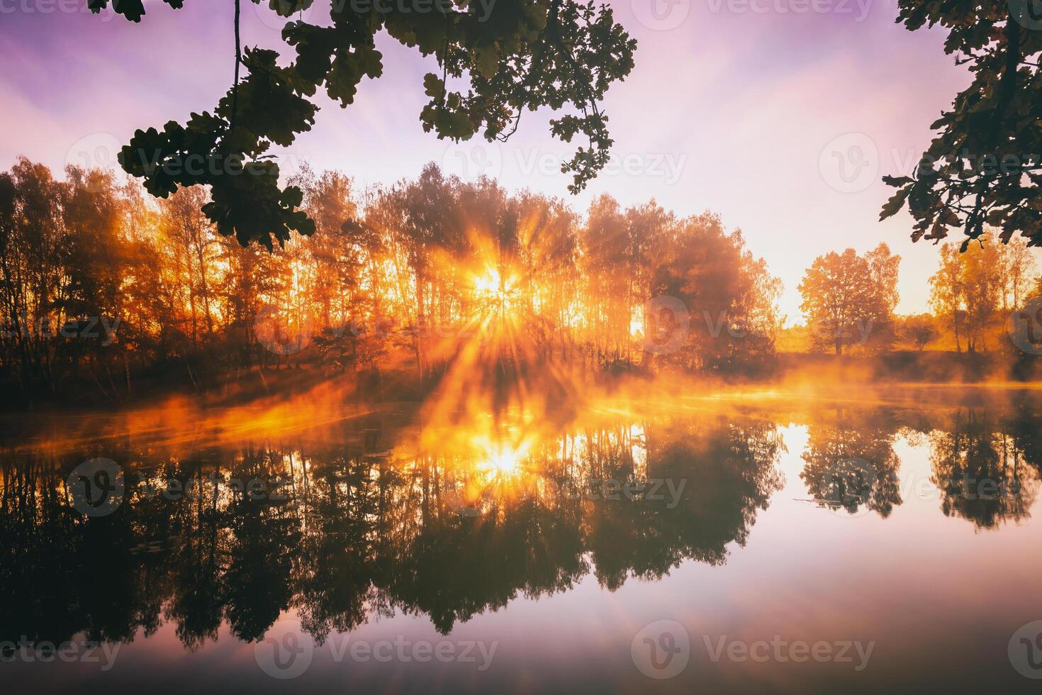 dageraad Aan een meer of rivier- met een lucht weerspiegeld in de water, berk bomen Aan de kust en de zonnestralen breken door hen en mist in herfst. esthetiek van wijnoogst film. foto