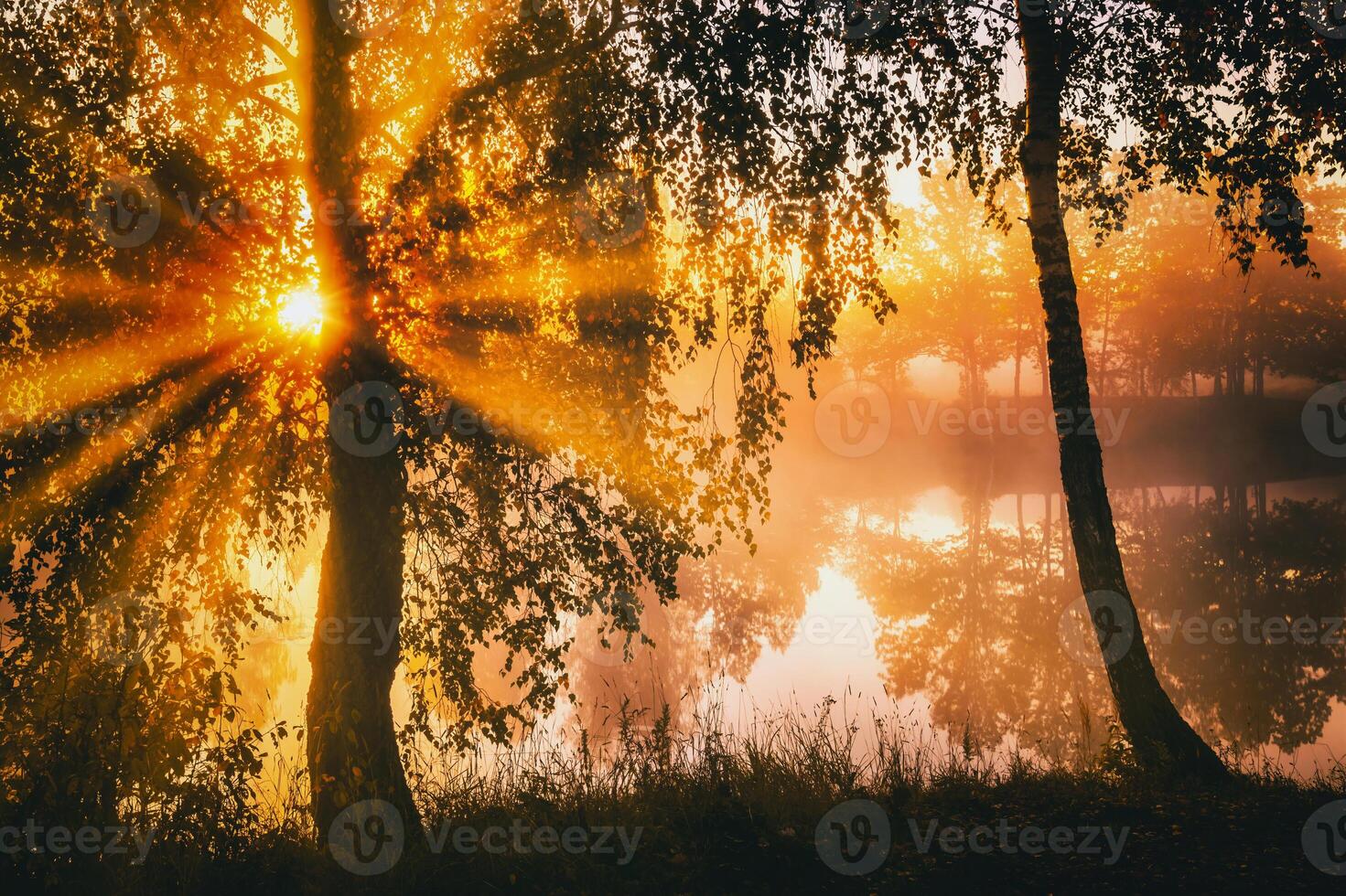 dageraad Aan een meer of rivier- met een lucht weerspiegeld in de water, berk bomen Aan de kust en de zonnestralen breken door hen en mist in herfst. esthetiek van wijnoogst film. foto