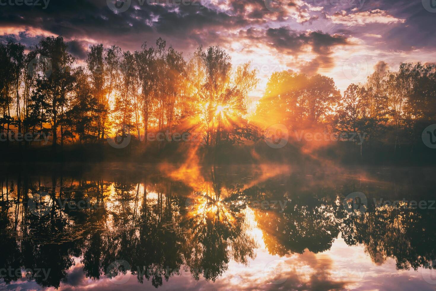 dageraad Aan een meer of rivier- met een lucht weerspiegeld in de water, berk bomen Aan de kust en de zonnestralen breken door hen en mist in herfst. esthetiek van wijnoogst film. foto