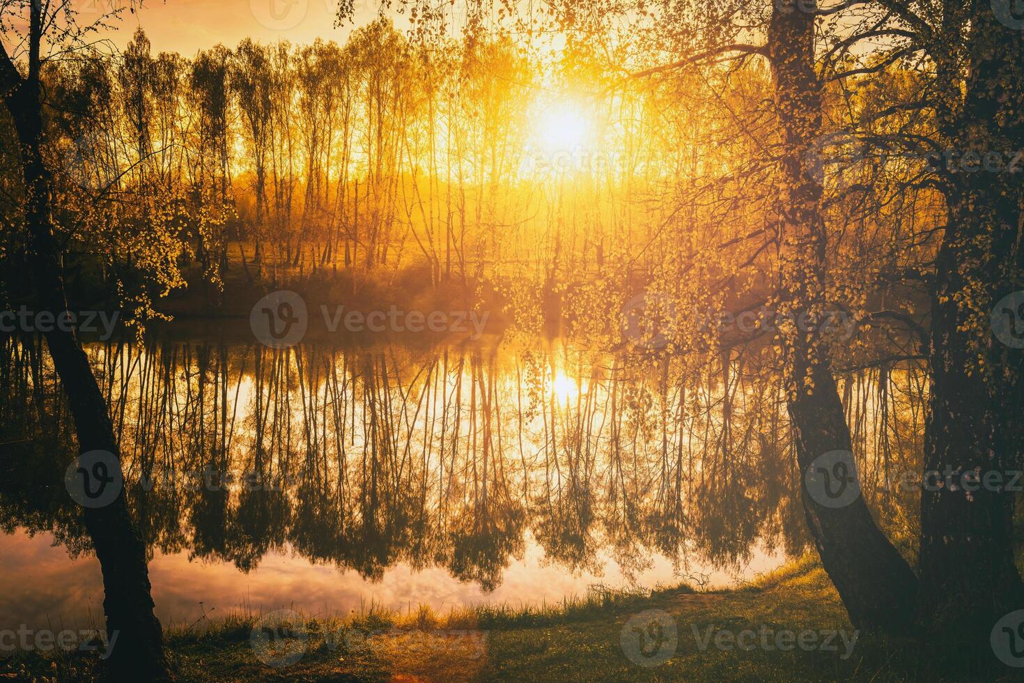 dageraad Aan een meer of rivier- met een lucht weerspiegeld in de water, berk bomen Aan de kust en de zonnestralen breken door hen en mist in herfst. esthetiek van wijnoogst film. foto