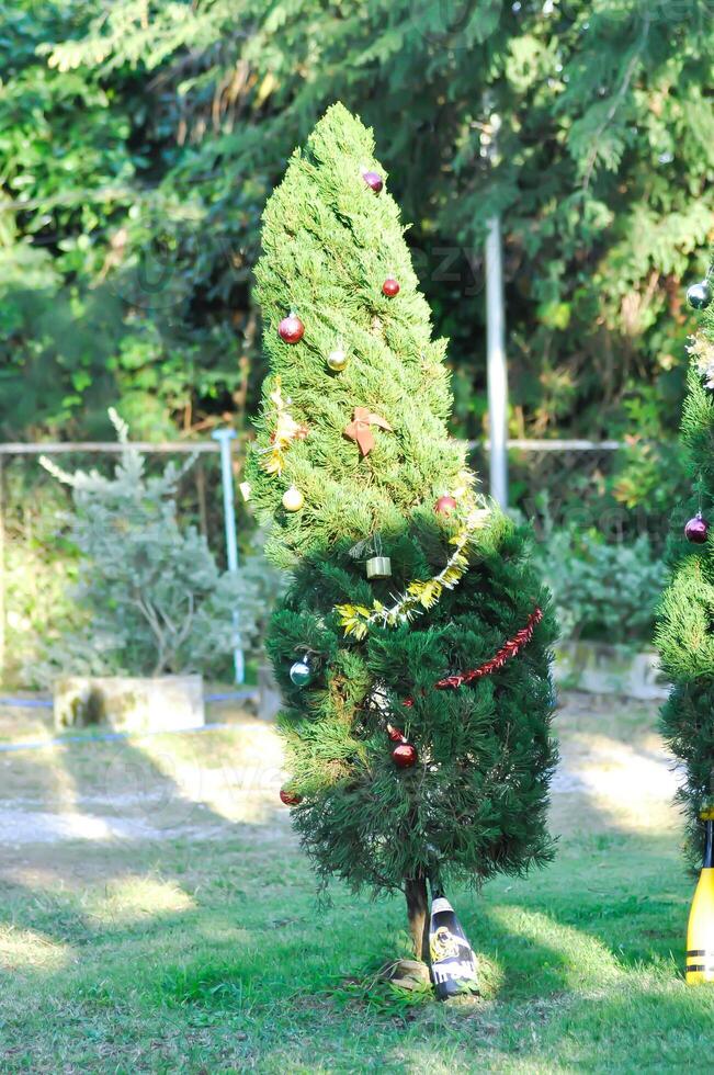 Kerstmis dag of Kerstmis decoratie , Kerstmis bal Aan pijnboom boom of bal en ster decoratie Aan pijnboom boom foto