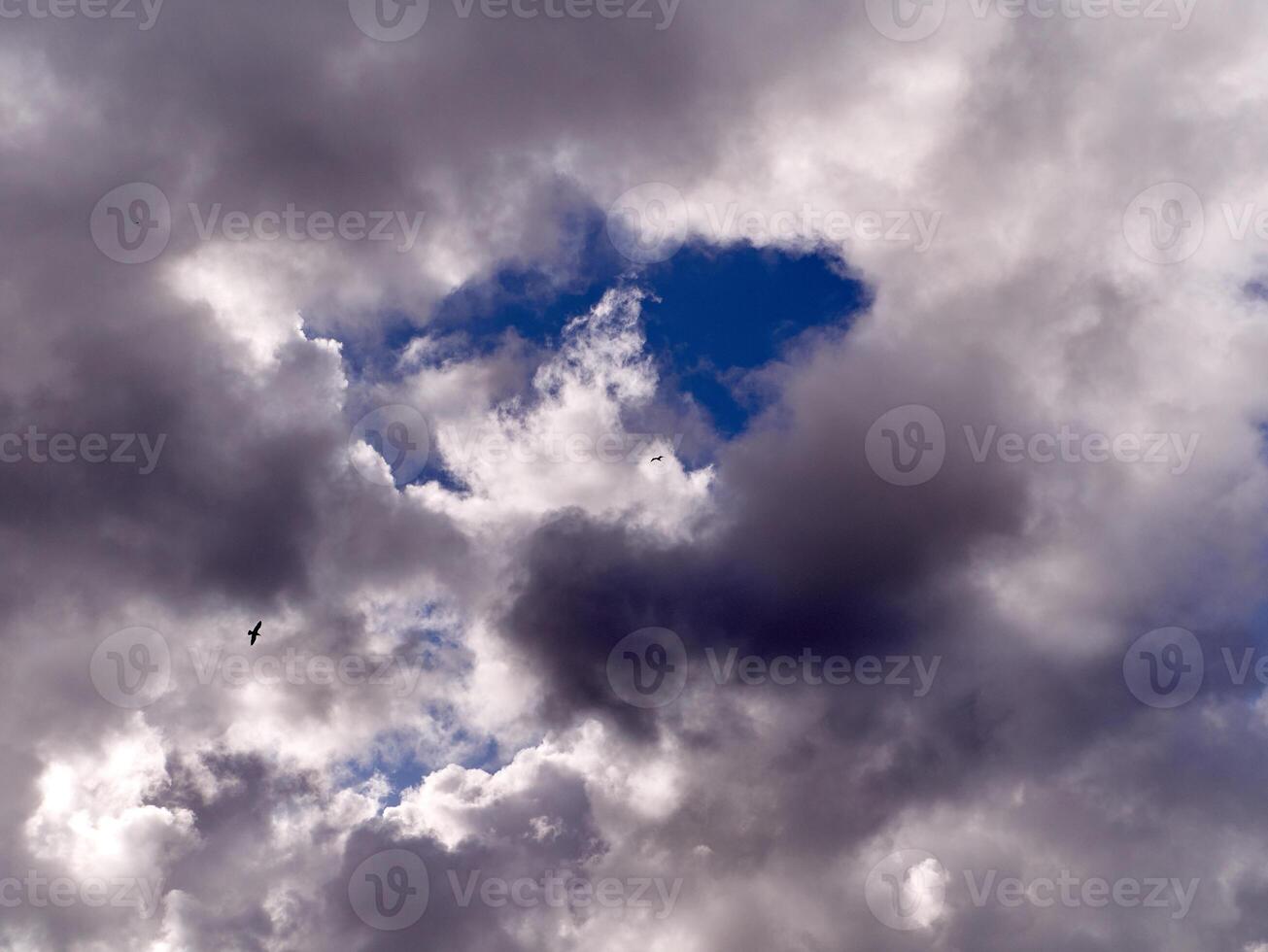 wit pluizig cumulus wolken in de zomer lucht, natuurlijk wolken achtergrond foto