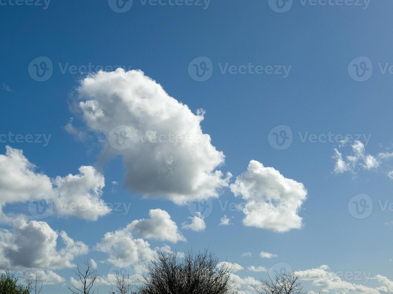 wit pluizig cumulus wolken in de zomer lucht, natuurlijk wolken achtergrond foto