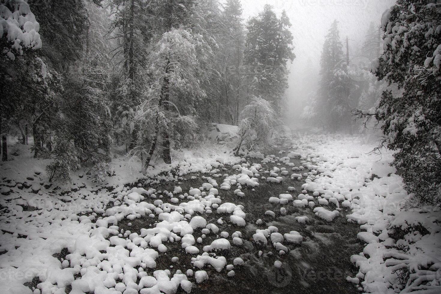 yosemite vallei sneeuw foto