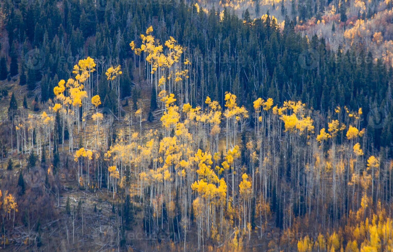 Utah vallen kleuren foto