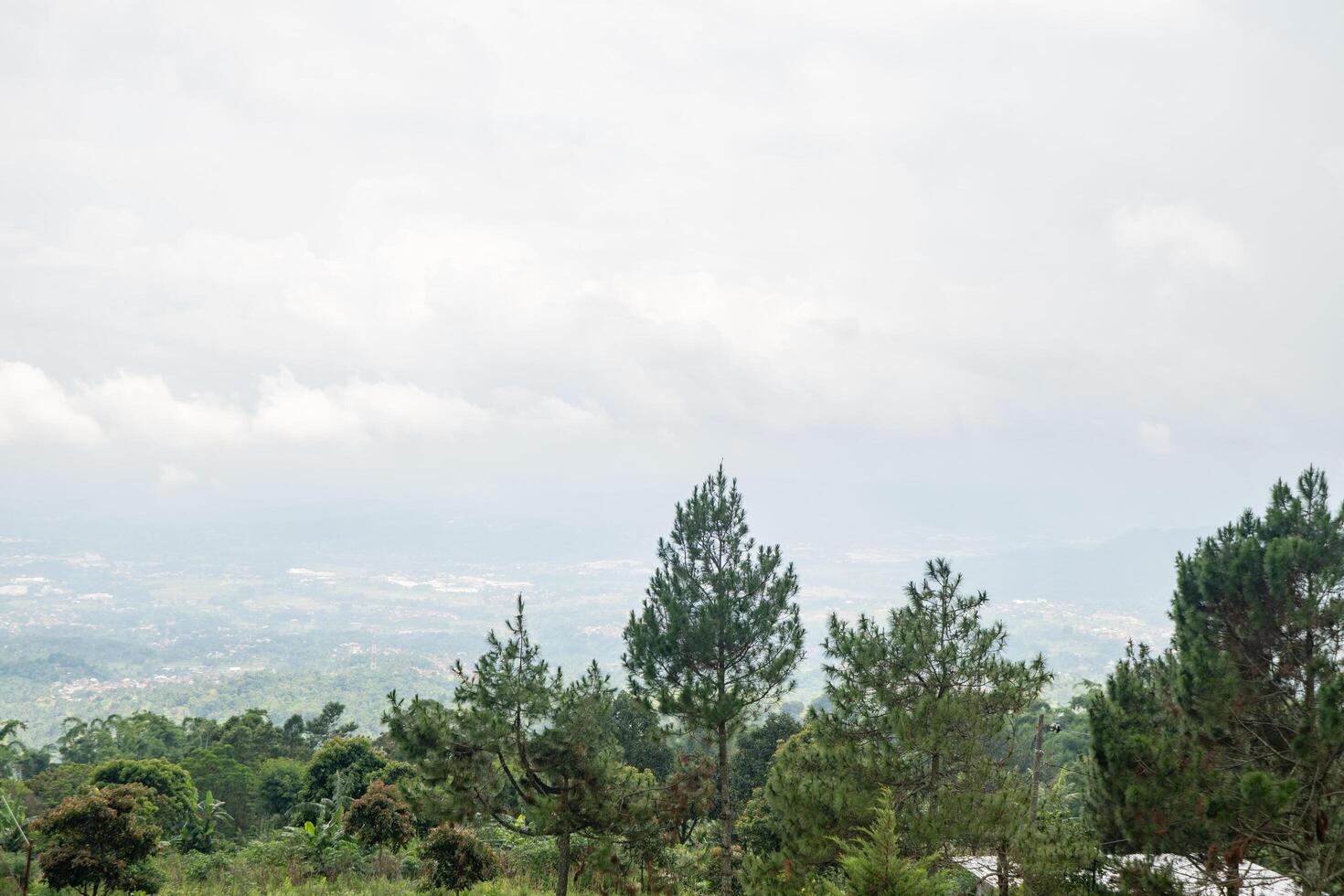 landschap tuin en berg bandungan semarang centraal Java. de foto is geschikt naar gebruik voor avontuur inhoud media, natuur poster en Woud achtergrond.