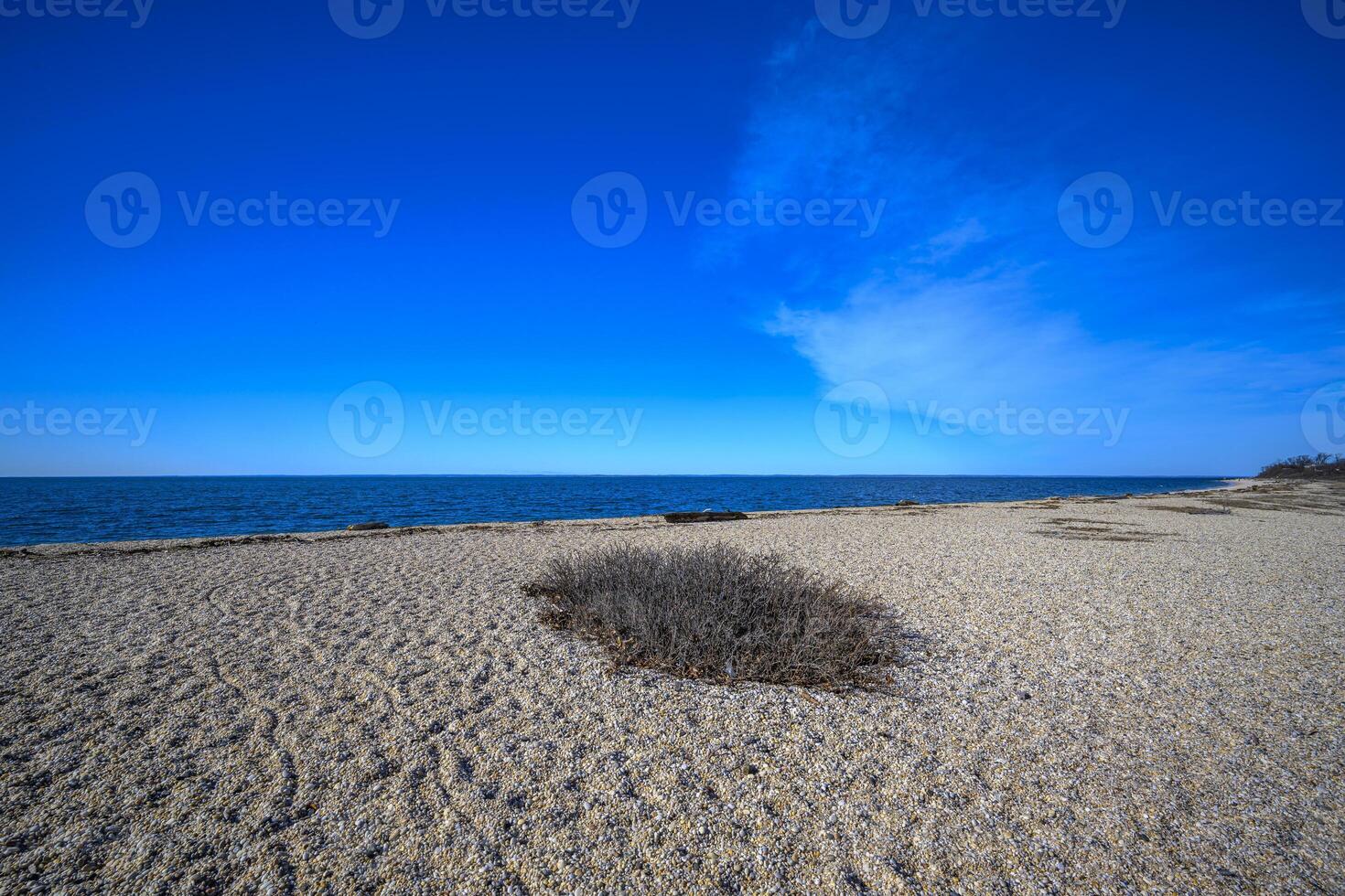 lang eiland stranden foto