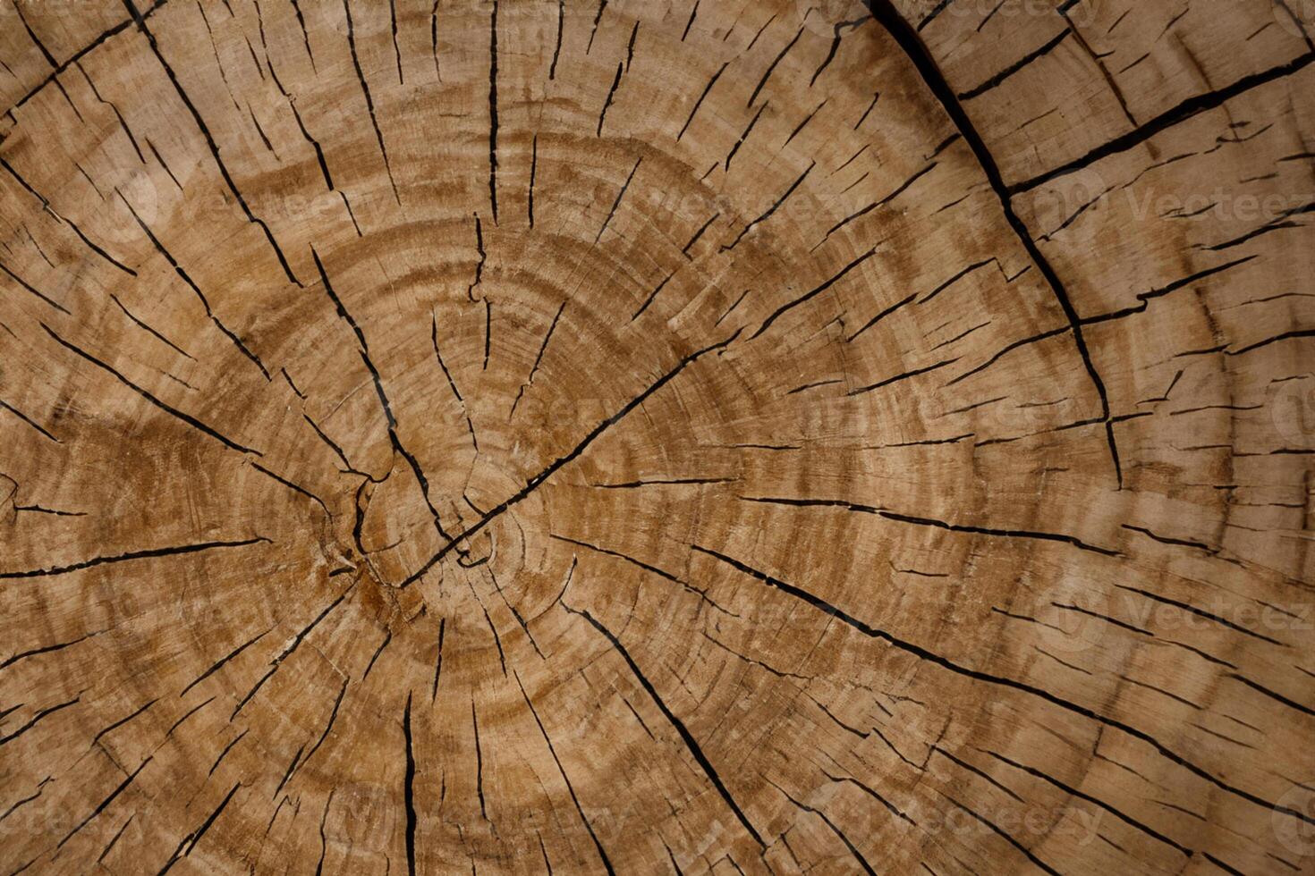 omarmen de schoonheid van natuurlijk hout achtergrond, een rustiek canvas van biologisch warmte en structuur foto