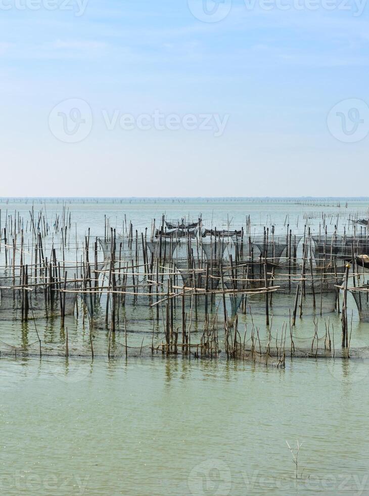 marinier vis landbouw in Thailand foto