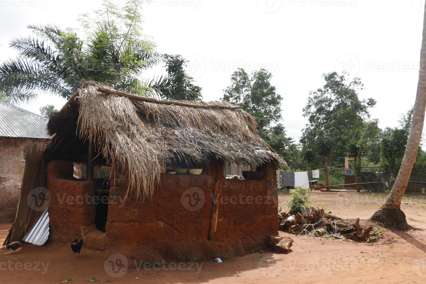 landelijk leven in djanbo in Benin foto