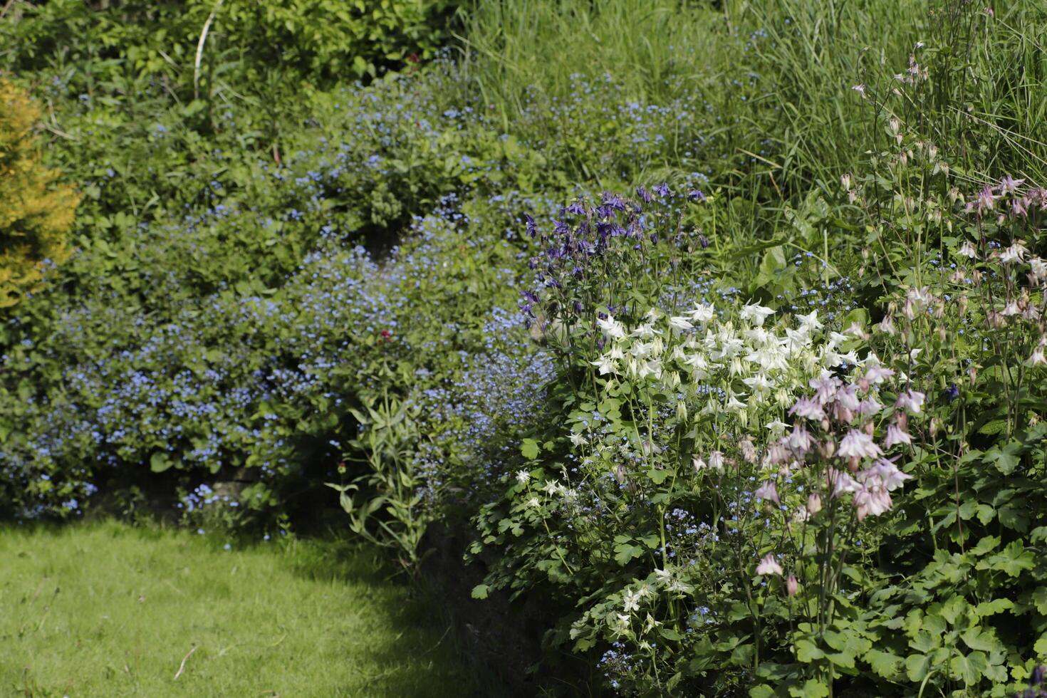 Overzicht van een tuin vol met bloemen foto