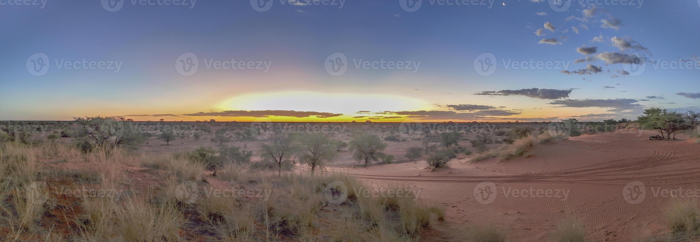 panoramisch afbeelding over- de namibisch Kalahari in de avond Bij zonsondergang met blauw lucht en licht wolken foto