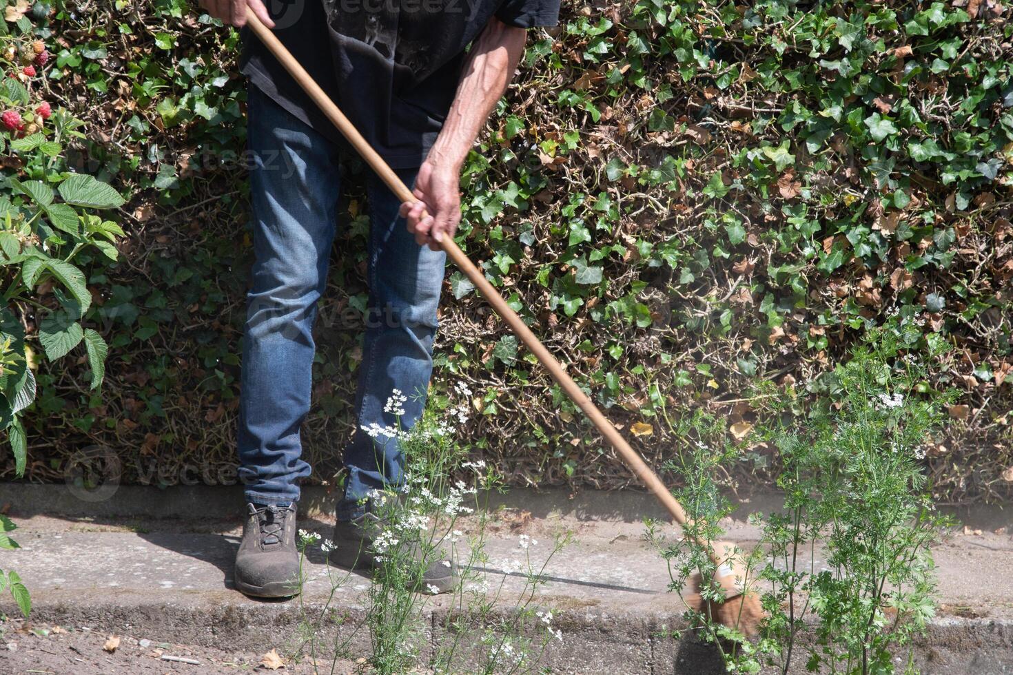 mannetje tuinman reinigt paden in zijn tuin, arbeider reinigt omhoog allemaal afval, stof foto