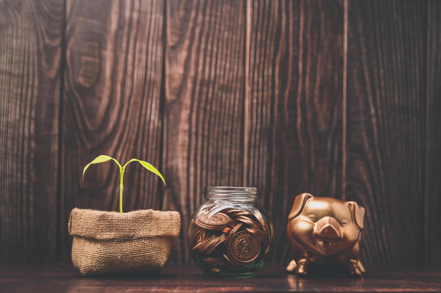 geld besparen, aandelen beleggen, financiële inkomsten foto