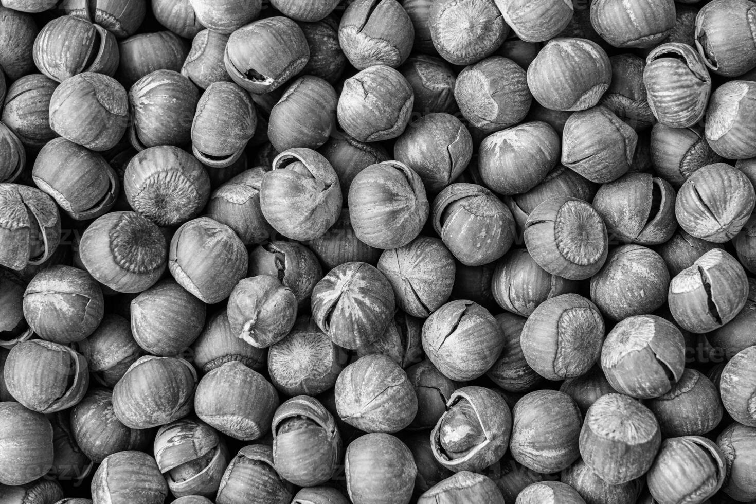 de structuur van een hoop van hazelnoten in de schelp. achtergrond van gezond fabriek veganistisch voedsel. noten. zwart en wit. foto