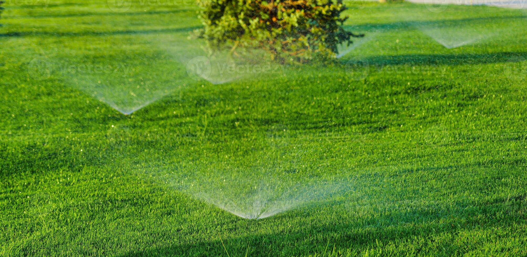 automatisch gazon gieter systeem gieter de jong groen gazon gras in de park. foto