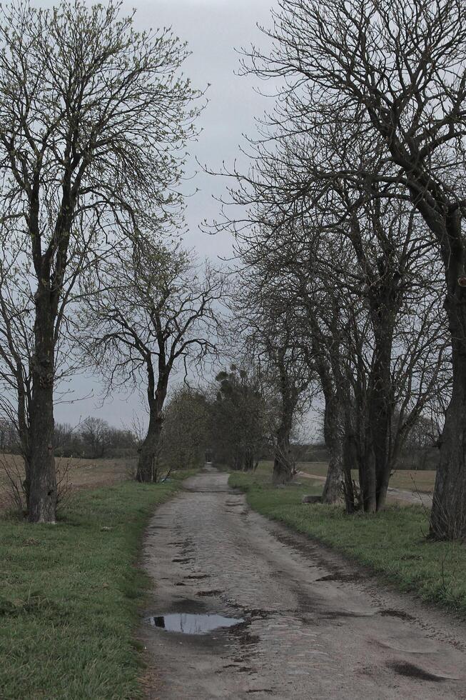 natuur achtergrond foto