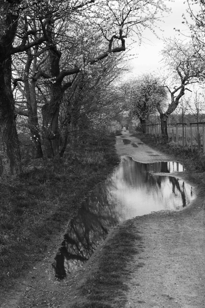 natuur achtergrond foto