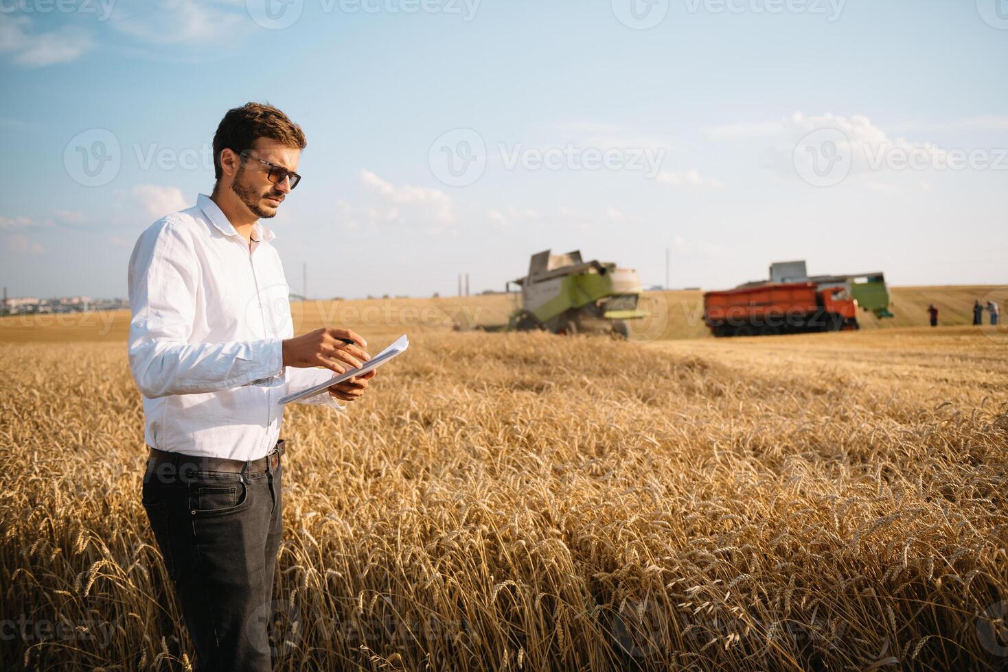 gelukkig boer in de veld- controle maïs planten gedurende een zonnig zomer dag, landbouw en voedsel productie concept foto