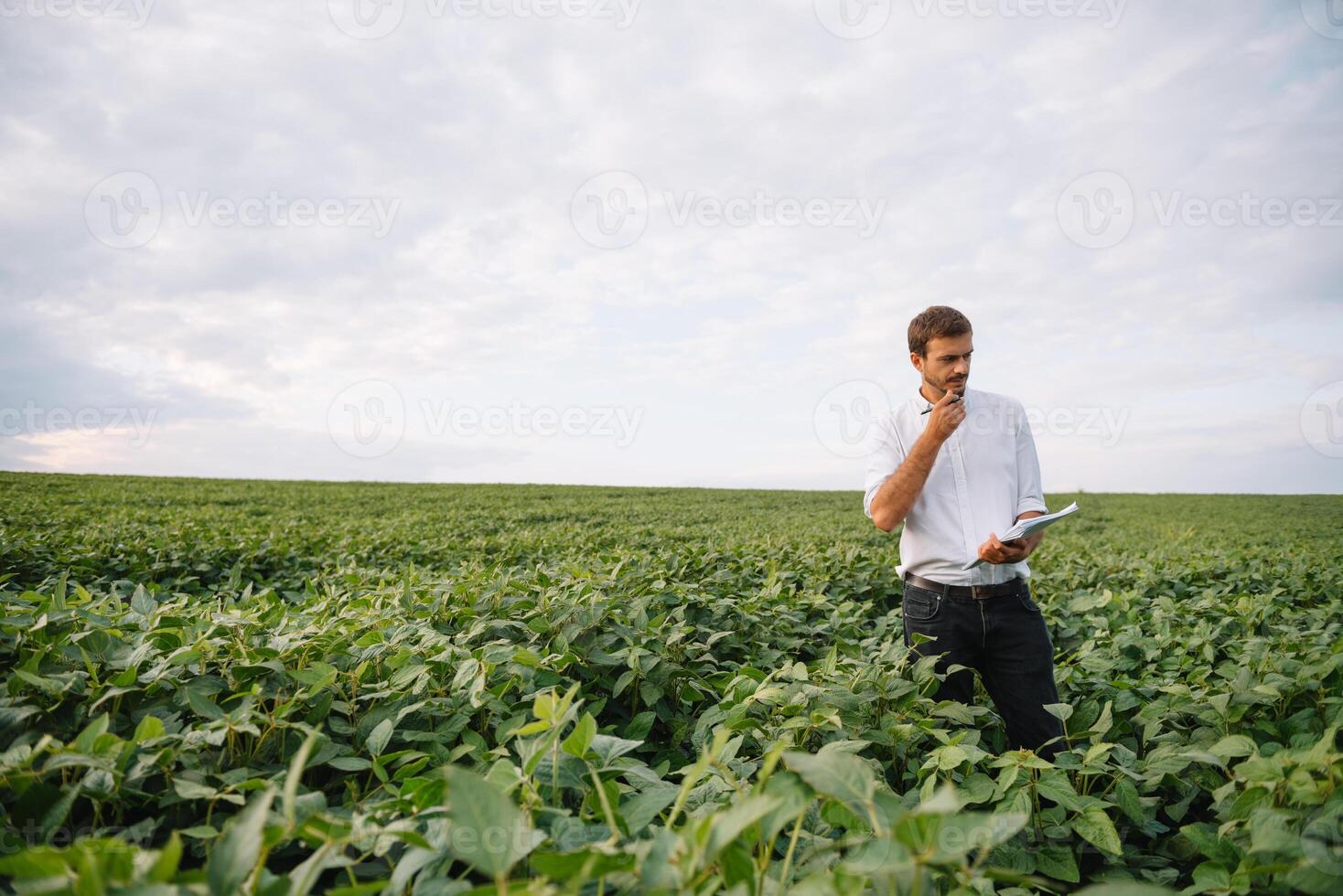 jong boer in gearchiveerd onderzoeken soja corp. hij is duimen omhoog foto