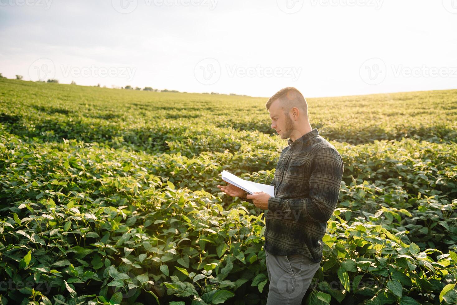 jong boer in gearchiveerd onderzoeken soja corp. hij is duimen omhoog. foto