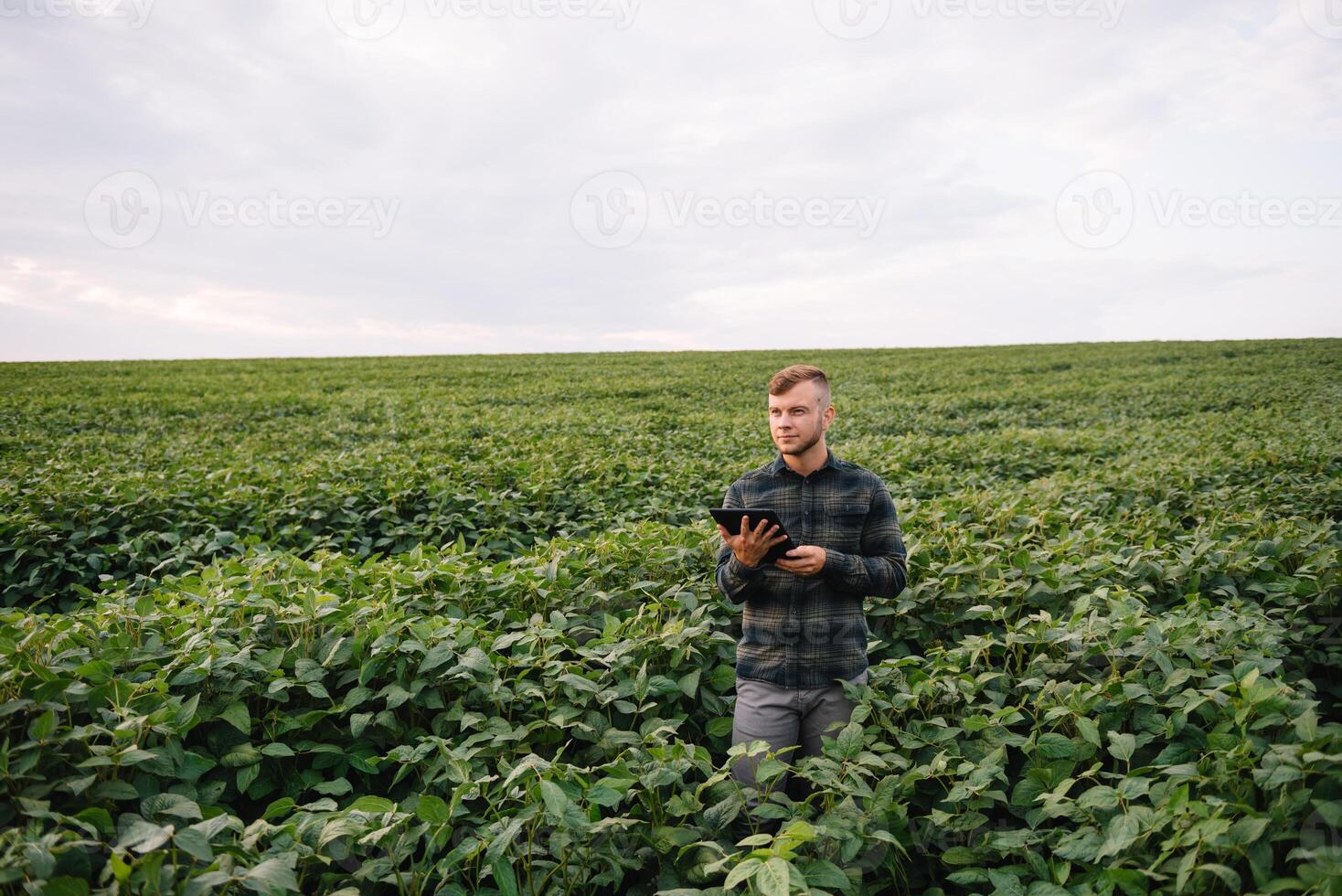 agronoom inspecteren soja Boon gewassen groeit in de boerderij veld. landbouw productie concept. agribusiness concept. agrarisch ingenieur staand in een soja veld- foto