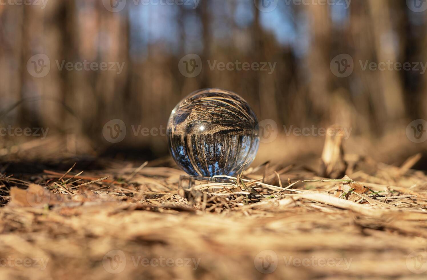 kristal glas transparant bal Aan droog geel gras. natuur concept foto
