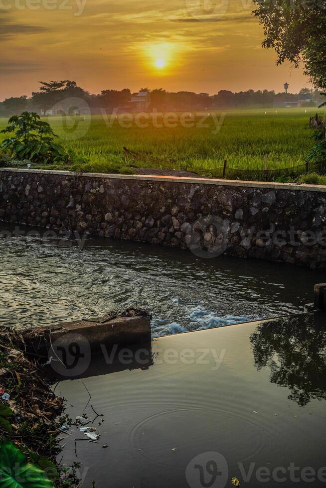 dichtbij visie van de water stromen in een klein rivier- voor irrigeren rijst- velden, met een zonsondergang achtergrond met leeg ruimte voor reclame. foto