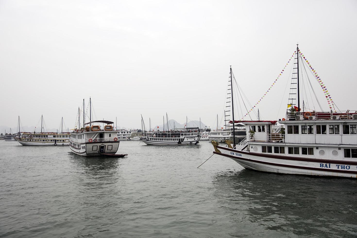 Halong, Vietnam, 28 februari 2017 - toeristische cruiseschepen in de haven van Halong. belangrijkste industrieën in Halong zijn toerisme, diensten, handel, landbouw, bosbouw en visserij foto
