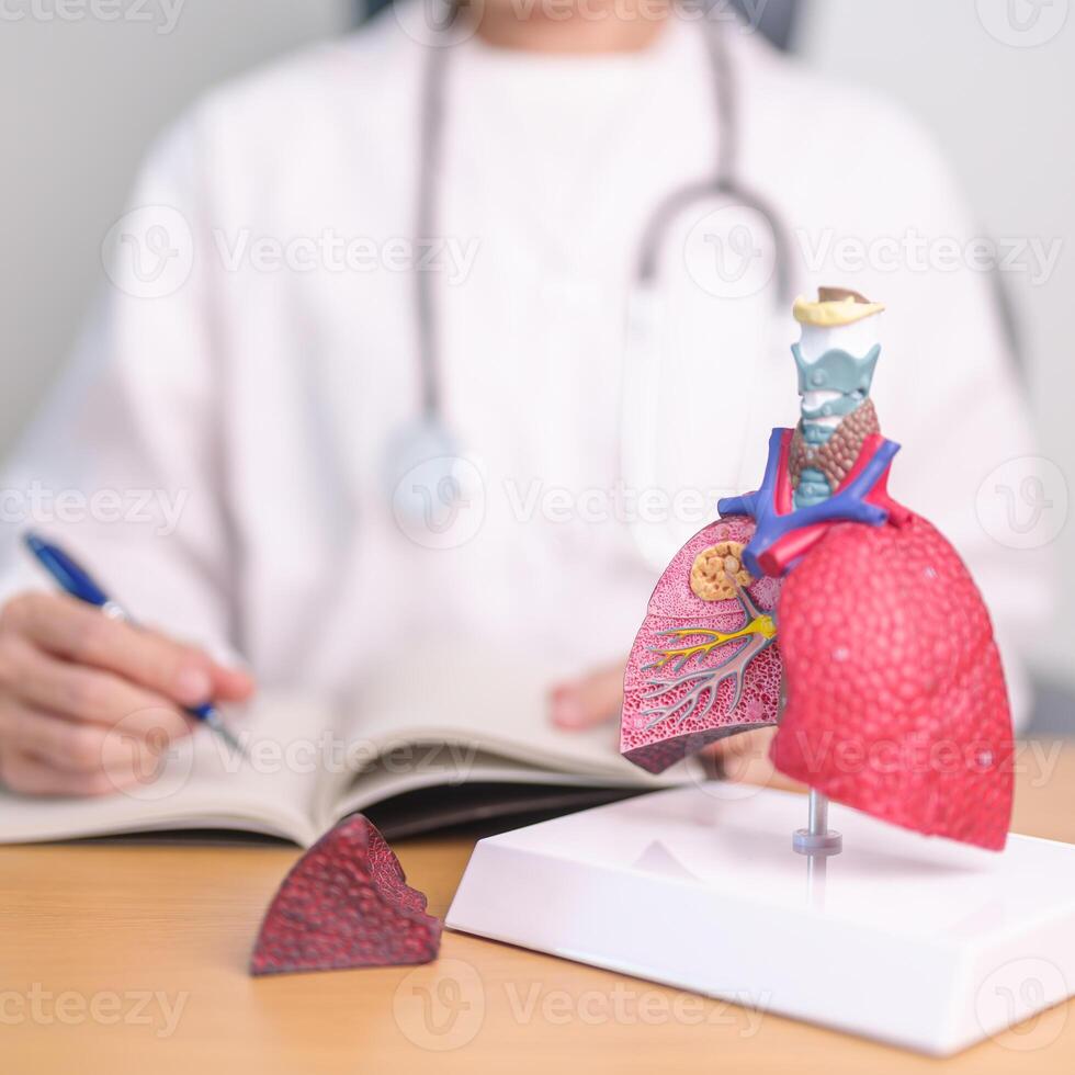 dokter met roker en normaal long anatomie voor ziekte. long kanker, astma, chronisch hinderlijk long of copd, bronchitis, emfyseem, cystic fibrose, bronchiëctasie, longontsteking en wereld long dag foto