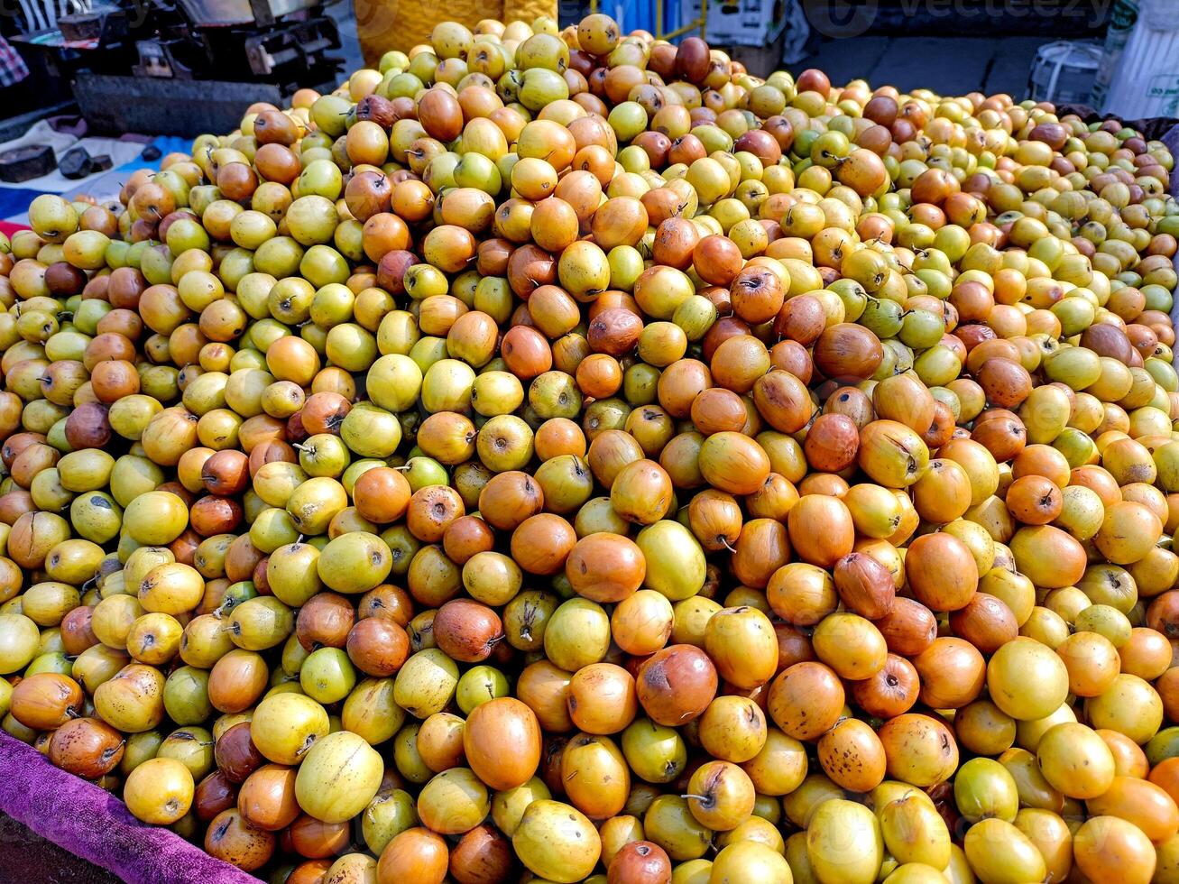 ziziphus Mauritanië, ook bekend net zo ber, chinees appel, jujube, Indisch Pruim en masau is een tropisch fruit boom soorten behoren naar de familie rhamnaceae. foto