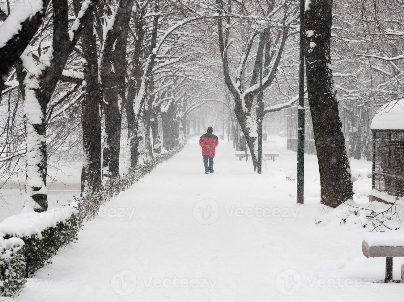 zwaar sneeuwval in de stad. mensen wandelen in de straten. bomen en takken gedekt in wit. winter tijd in de stad. foto