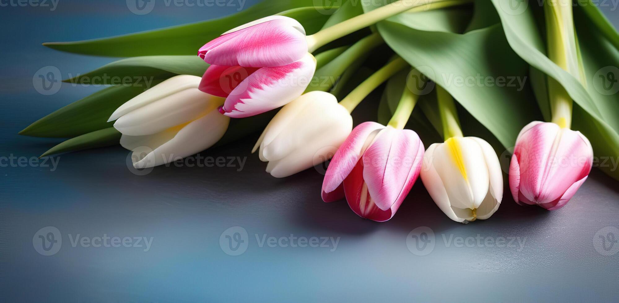 roze en wit kleur tulpen bloemen boeket voorjaar bloemen banier ruimte voor tekst copyspace Aan grijs blauw achtergrond foto