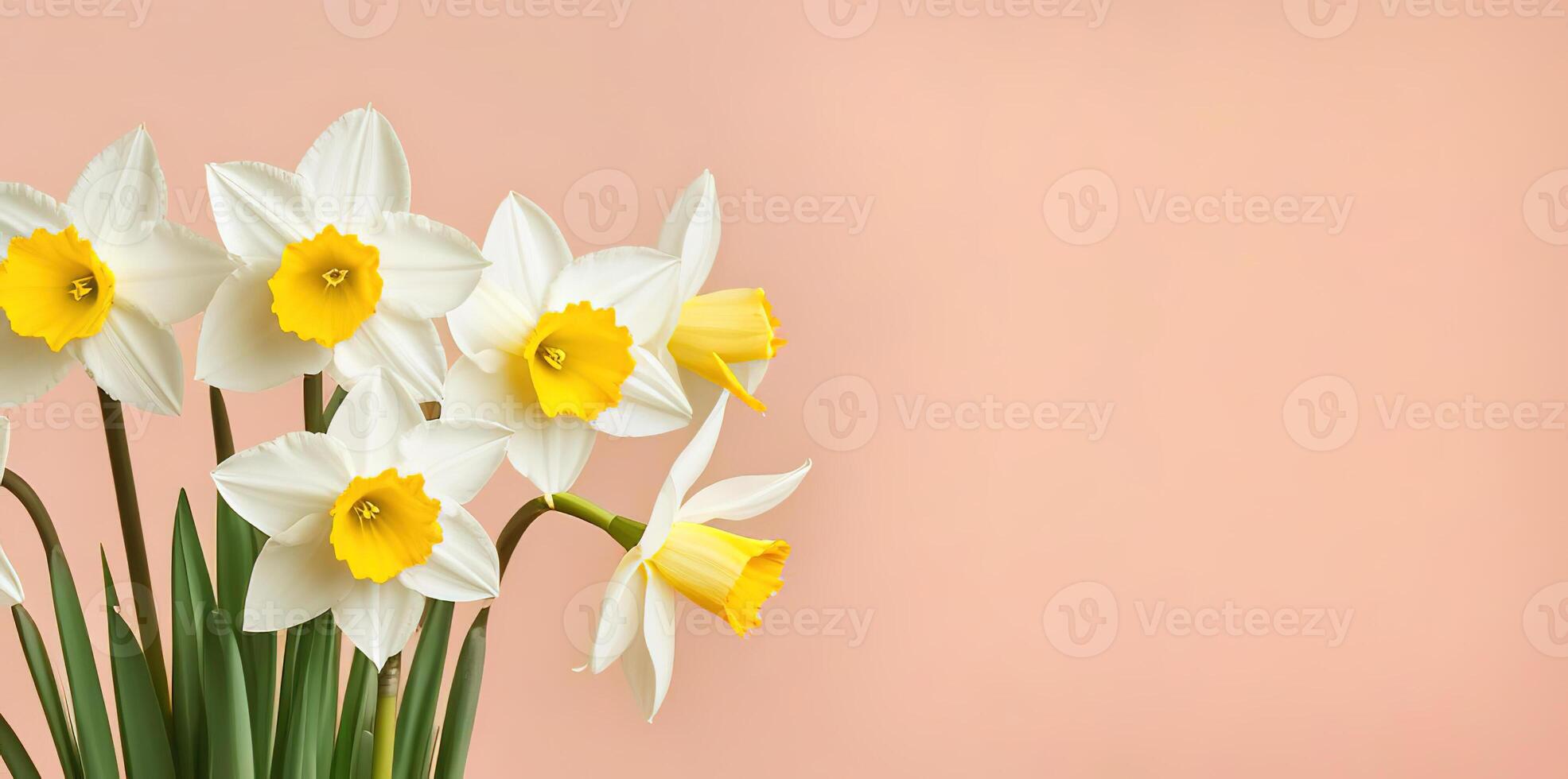 vers voorjaar bloemen narcis boeket banier Aan roze perzik achtergrond moeders dag valentijnsdag foto