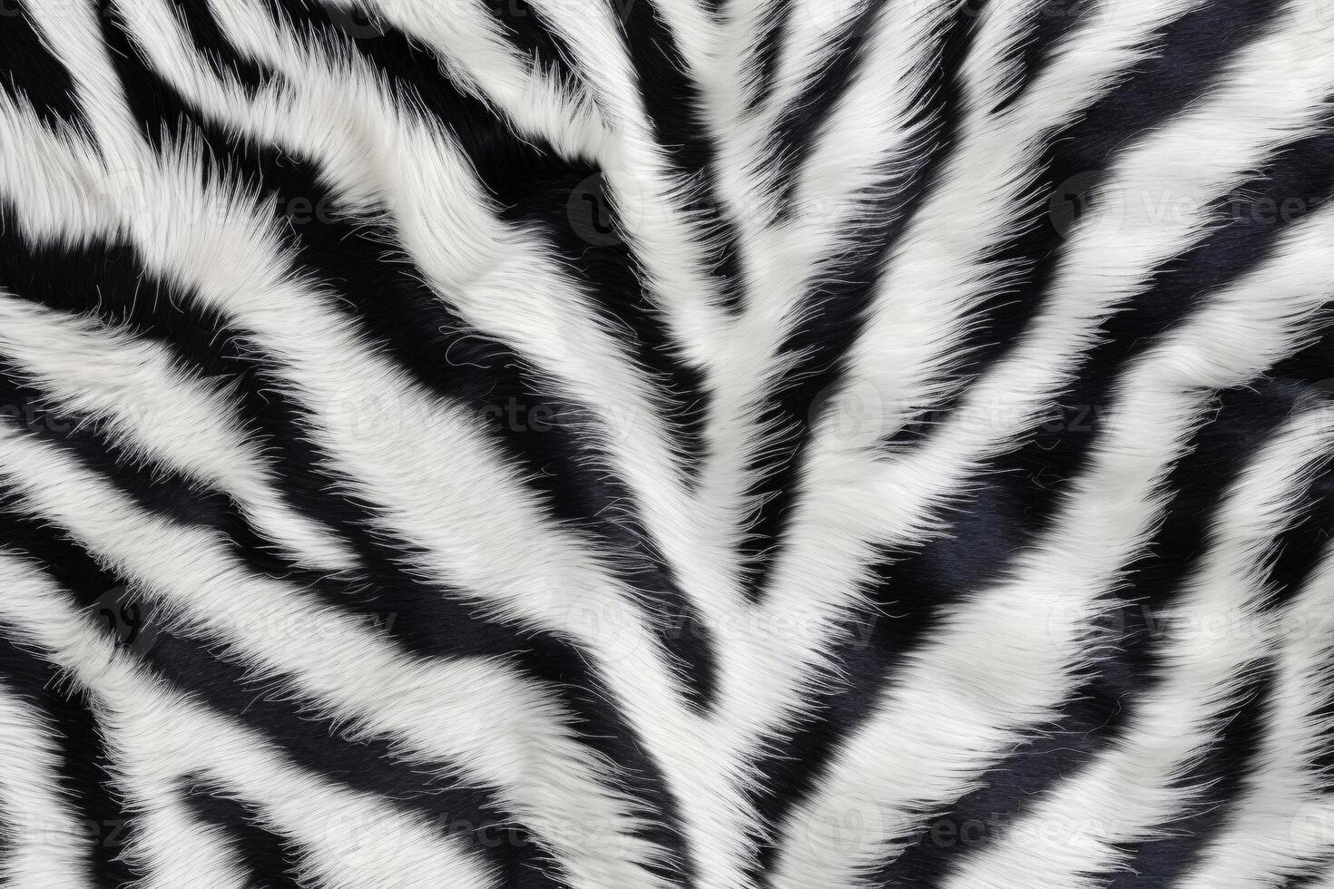 zebra huid vacht textuur, zebra vacht achtergrond, pluizig zebra huid vacht textuur, zebra huid vacht patroon, dier huid vacht textuur, zebra afdrukken, foto