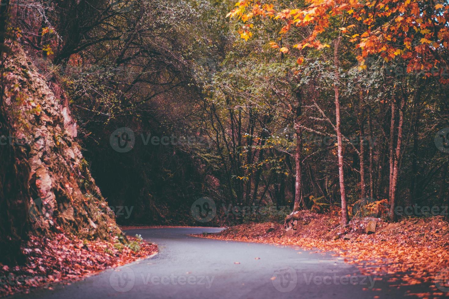 herfst wegen vallen foto