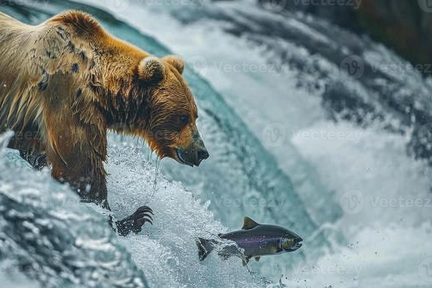 grizzly beer jacht- Zalm in wild rivier. foto