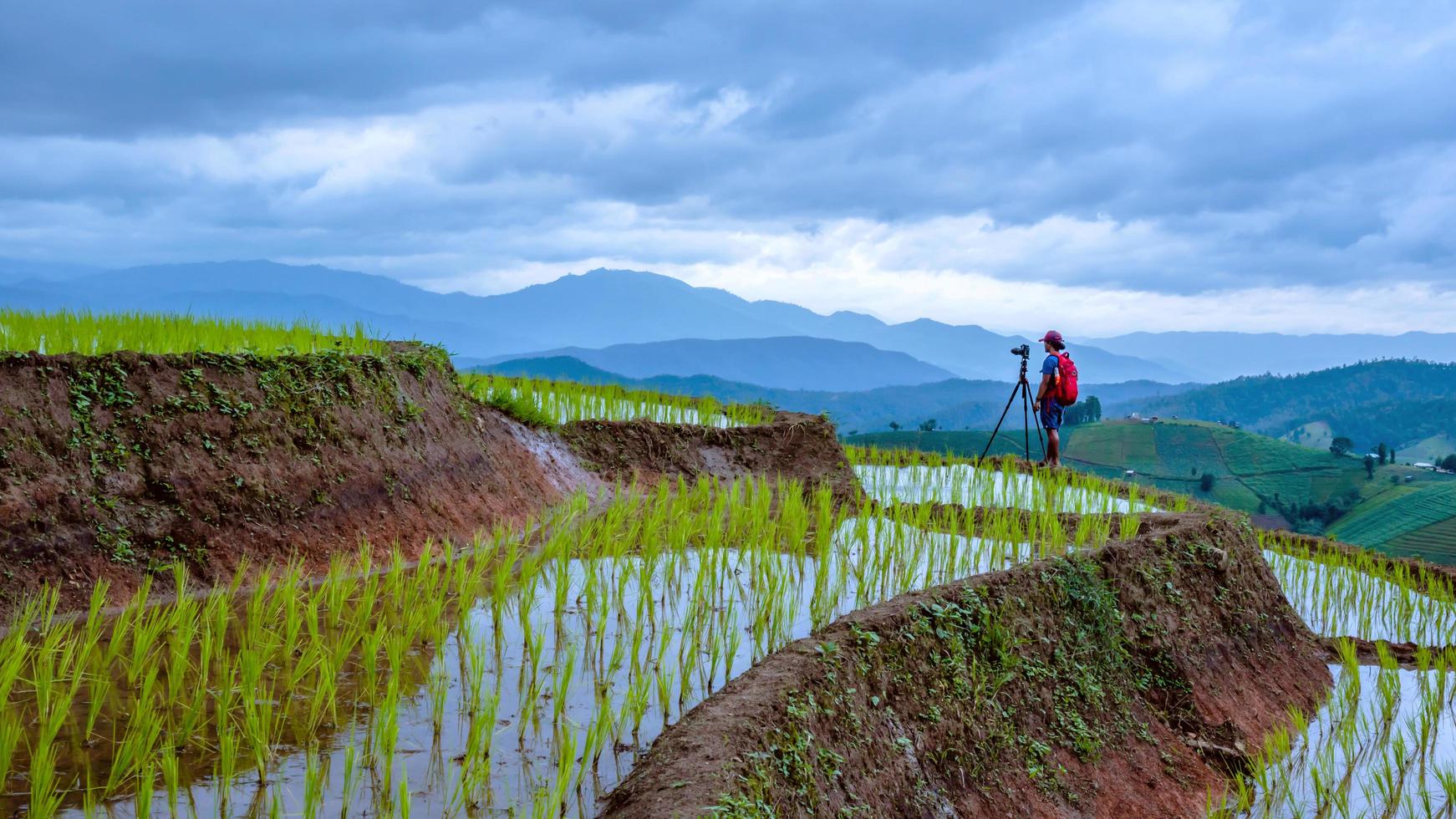 man aziaten natuurlijke reizen ontspannen. wandelen neem een foto van het rijstveld. in de zomer.